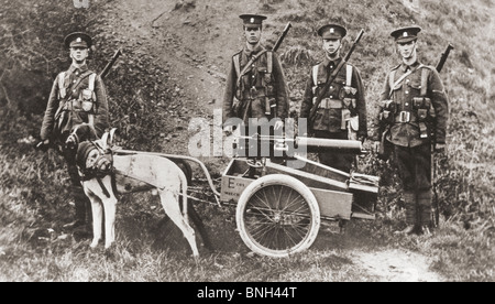 Esercito britannico soldati mediante i cani per tirare una mitragliatrice durante la guerra mondiale I. Foto Stock