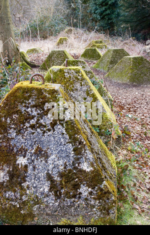 Vecchio Seconda Guerra Mondiale difese vicino a Farnham, Surrey Foto Stock