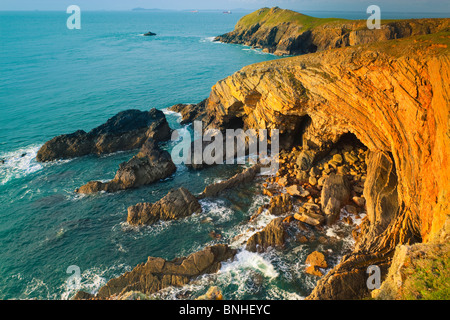 Il Deer Park Martins Haven Nr Marloes Pembrokeshire Wales Foto Stock