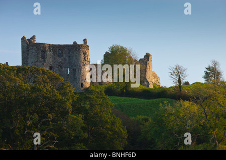 Il castello di Llansteffan Carmarthenshire Galles occidentale Foto Stock