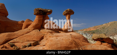 Stati Uniti d'America Kanab Utah Panorama Toadstools Hoodoos Scalone Escalante National Monument vicino a Kanab erosione Torri di colonne di roccia Foto Stock