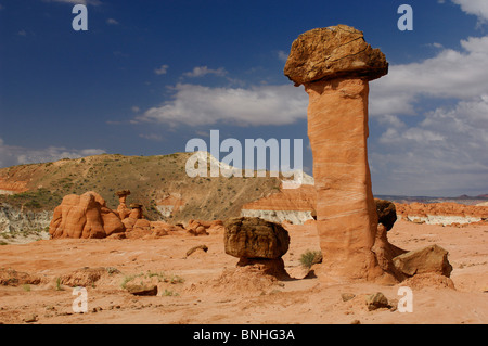 Stati Uniti d'America Kanab Utah Toadstools Hoodoos Scalone Escalante National Monument vicino a Kanab colonne di erosione torri scogli di roccia Foto Stock