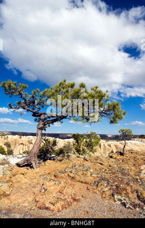 El Morro monumento nazionale Foto Stock