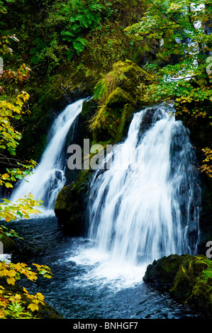 Forza Colwith cascata sul fiume Brathay nel Parco nazionale del Lake District vicino Colwith, Cumbria, Inghilterra. Foto Stock