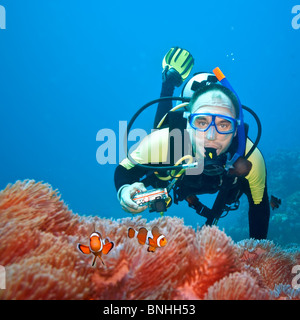Fotografo subacqueo e Clownfishes nel loro anemone Foto Stock