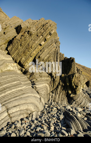 Rocce di età Silurian (Llandovery) formando una ben sviluppata turbidite sequenza di limaccioso scure rocce argillose alternate a più pallida sands Foto Stock