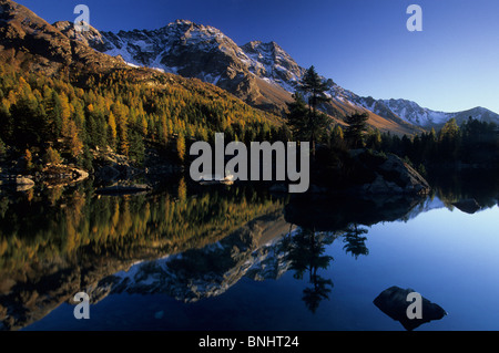 Europa Svizzera Cantone dei Grigioni Grigioni Saoseosee Lago di Saoseo Val da Camp autunno cadono i larici larici mountain Foto Stock