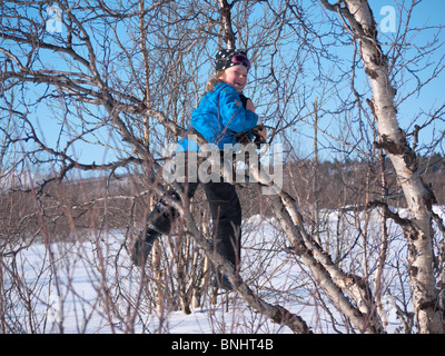 8 anno vecchia ragazza si arrampica su un albero di betulla. Foto Stock