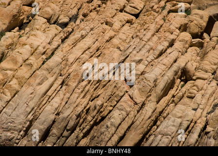 Texture di pietre di Sardegna Italia struttura scogliera di roccia strati turni cliff formazione dettaglio close-up Foto Stock