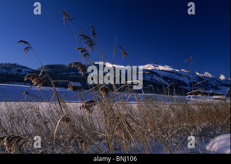 Europa Svizzera Cantone di San Gallo Toggenburg Churfirsten Schönenbodensee inverno il paesaggio paesaggio neve scenic Foto Stock