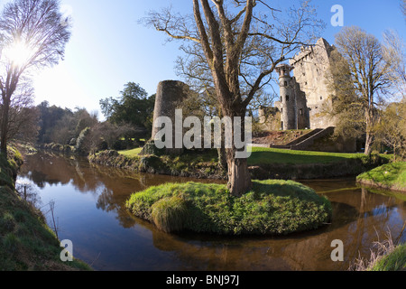 Blarney Castle nel sole primaverile nella contea di Cork Munster Repubblica di Irlanda Eire Europa Foto Stock