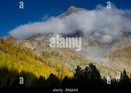 Derborence Svizzera Canton Vallese foresta legno larici larici di montagna delle Alpi montagne paesaggio alpino paesaggio nebbia Foto Stock