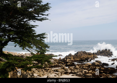 Monterey Bay costa, California Foto Stock