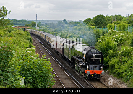 60163 'Tornado' motore a vapore con una carta treno vicino Polhill Tunnel, Sevenoaks, Regno Unito Foto Stock