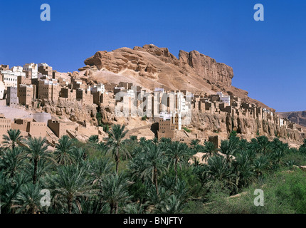 Yemen Febbraio 2005 Hadhramaut Valley, vicino alla città di Shibam palme mountain Foto Stock