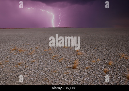 Etosha Pan Etosha National Park Regione Kunene Namibia Africa fulmini temporale paesaggio panoramico paesaggio desolato sterile Foto Stock