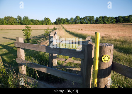 Sentiero pubblico attraverso i campi nella campagna del Kent, Kent REGNO UNITO Foto Stock