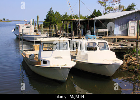 Barche da pesca in porto a Isola del Cedro, North Carolina, STATI UNITI D'AMERICA Foto Stock