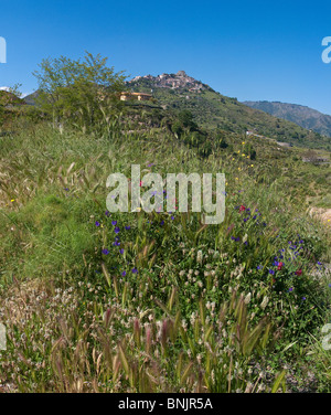 Parco nazionale della Aspromonte Bova Calabria Italia mediterranea vegetazione scogliera di roccia verde villaggio del parco nazionale mountain Foto Stock