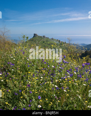 Parco nazionale della Aspromonte Bova Calabria Italia mediterranea vegetazione scogliera di roccia verde villaggio del parco nazionale mountain Foto Stock