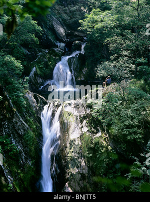 Uomo seduto ammirando Mynach cade, Ponte del Diavolo, vicino a Aberystwyth, Dyfed, mid-Wales Foto Stock