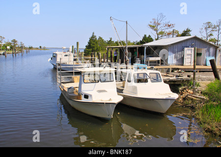 Barche da pesca in porto a Isola del Cedro, North Carolina, STATI UNITI D'AMERICA Foto Stock