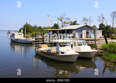 Barche da pesca in porto a Isola del Cedro, North Carolina, STATI UNITI D'AMERICA Foto Stock