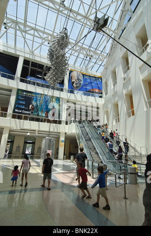 Atrio Interno della California Science Center di Los Angeles. Foto Stock