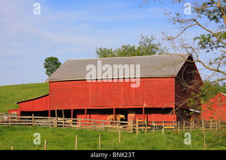 Granaio rosso a cavallo nei pressi di Middlebrook nella valle di Shenandoah, Virginia, Stati Uniti d'America Foto Stock