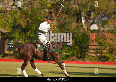 Cavalli e giocatori allo Houston Polo Club, houston, texas. Foto Stock