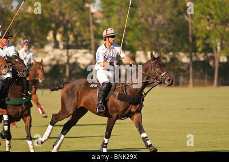 Cavalli e giocatori allo Houston Polo Club, houston, texas. Foto Stock