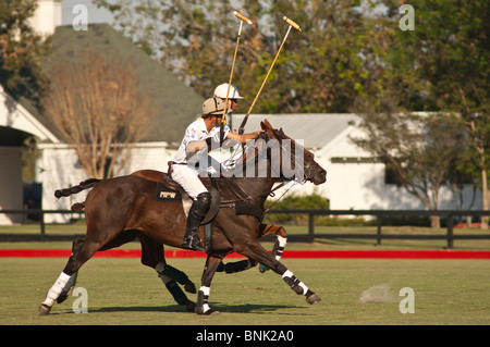 Cavalli e giocatori allo Houston Polo Club, houston, texas. Foto Stock