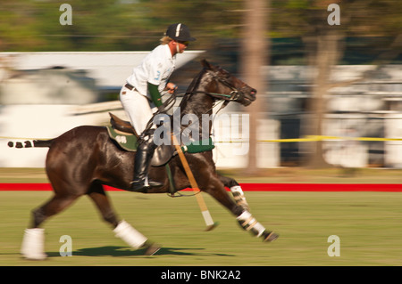 Cavalli e giocatori allo Houston Polo Club, houston, texas. Foto Stock