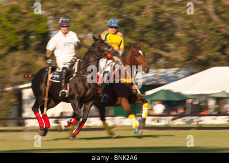 Cavalli e giocatori allo Houston Polo Club, houston, texas. Foto Stock