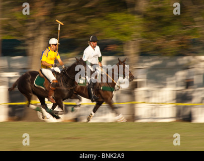 Cavalli e giocatori allo Houston Polo Club, houston, texas. Foto Stock