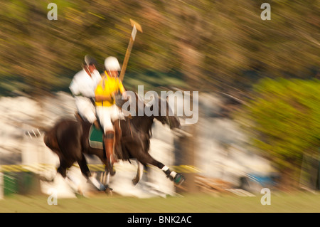 Cavalli e giocatori allo Houston Polo Club, houston, texas. Foto Stock