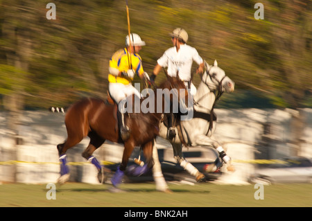 Cavalli e giocatori allo Houston Polo Club, houston, texas. Foto Stock