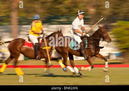 Cavalli e giocatori allo Houston Polo Club, houston, texas. Foto Stock