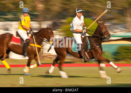 Cavalli e giocatori allo Houston Polo Club, houston, texas. Foto Stock