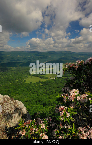 Vista della Germania Valle e manopola di abete rosso da Nord a forcella il sentiero di montagna, Franklin, West Virginia, USA Foto Stock