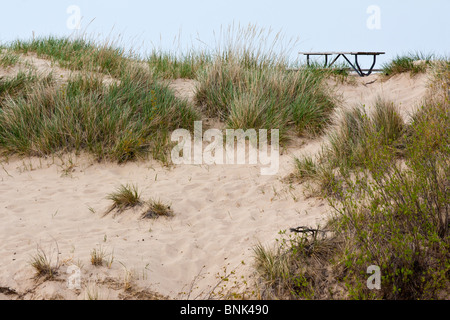 Paesaggio sabbioso con una panchina vuota e un'erba di marram nessuno all'esterno dell'orizzonte dal cielo blu paesaggio minimo natura nel Michigan Stati Uniti hi-res Foto Stock