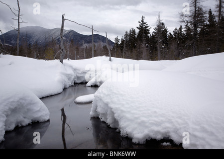 Brook Meadow durante i mesi invernali in Livermore, New Hampshire USA. Mount Carrigain è spento a distanza Foto Stock