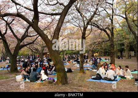 Gli adolescenti avente un pic-nic nel Parco Yoyogi, Shibuya, Tokyo, Giappone Foto Stock