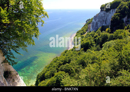 Chalk cliff , Jasmund National Park, Ruegen isola, Meclemburgo-Pomerania, Germania, Europa Foto Stock