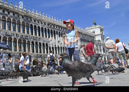 I piccioni viaggiatori e turisti in Piazza San Marco, Venezia, Italia Foto Stock