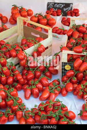 Freschi pomodori italiane al mercato nel centro storico di Nizza , Francia. Questo mercato è chiamato 'Marche aux Fleur' o 'Cours Saleya'. Foto Stock