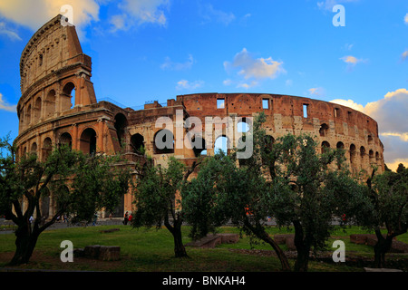 Il Colosseo o il Colosseo a Roma, in Italia Foto Stock