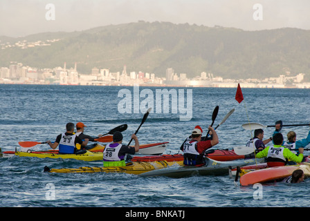 Inizio della gara Kayak, Giorni Bay, Eastbourne, Wellington, Isola del nord, Nuova Zelanda Foto Stock