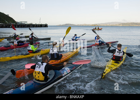 Inizio della gara Kayak, Giorni Bay, Eastbourne, Wellington, Isola del nord, Nuova Zelanda Foto Stock