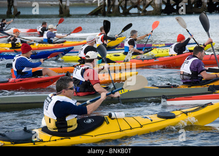 Inizio della gara Kayak, Giorni Bay, Eastbourne, Wellington, Isola del nord, Nuova Zelanda Foto Stock